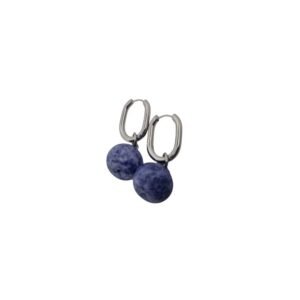 Blueberries Hoops