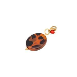 Cheetah girls Charm