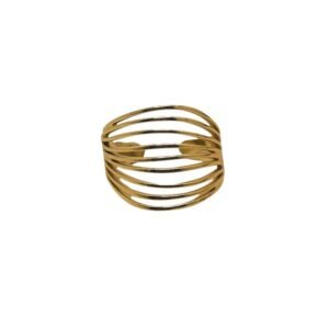 Interstellar Ring
